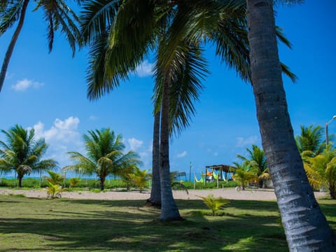 Natural landscape, Sea view