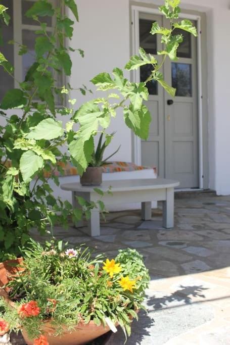 A casa d’ Irene Villa in Paros, Greece