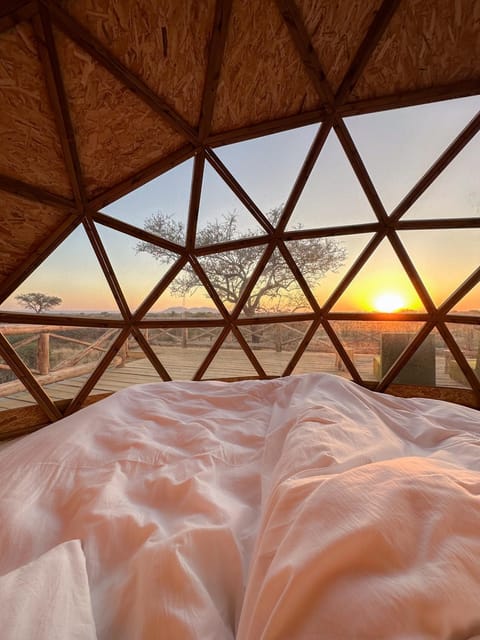 Bed, Sunrise