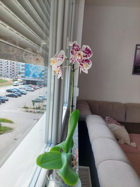 View (from property/room), Photo of the whole room, Parking