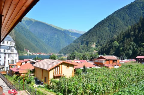 Nearby landmark, Natural landscape