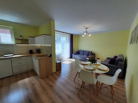 Kitchen or kitchenette, Living room, Seating area, stove