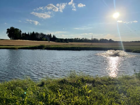 Natural landscape, View (from property/room)