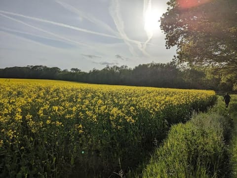 Self-catering guest annex Apartment in North Norfolk District