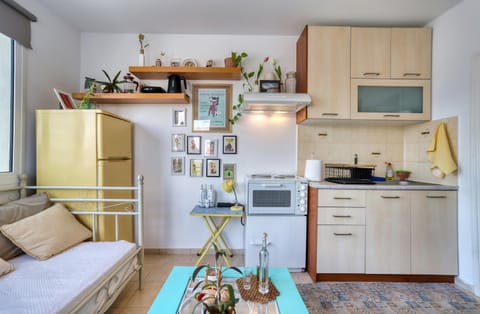 Kitchen or kitchenette, Photo of the whole room, oven, pet friendly