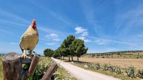 Masseria Milu' Farm Stay in Province of Foggia