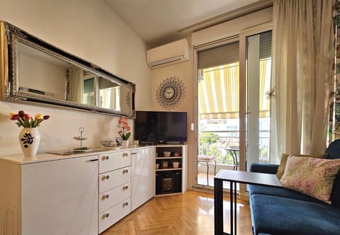 TV and multimedia, air conditioner