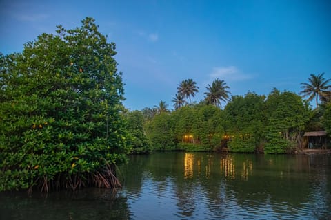 Spring, Night, Natural landscape, River view