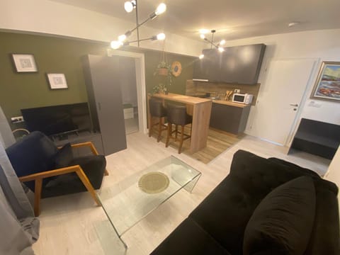 TV and multimedia, Kitchen or kitchenette, Living room, Seating area, Dining area, minibar, pet friendly, stove
