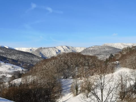 Winter, Mountain view