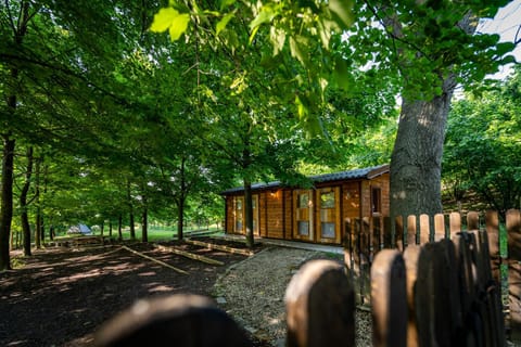 Natural landscape, Garden, View (from property/room), Garden view