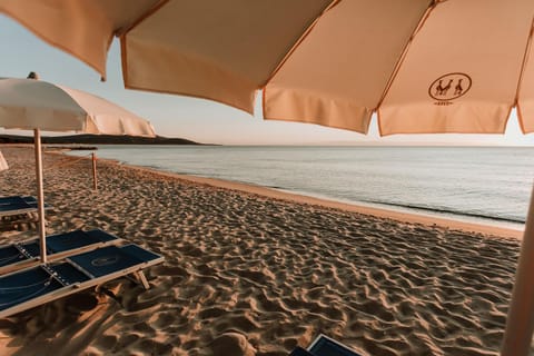 Beach, Beach, Area and facilities, Area and facilities