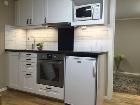 Kitchen or kitchenette, minibar, pet friendly, stove