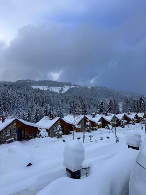 Malesia Eko Resort Villa in Montenegro