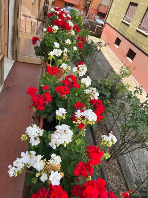Casa di sara Apartment in Venice
