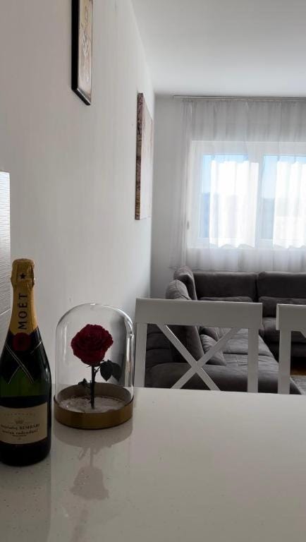 Apartment Shine Apartment in Podgorica