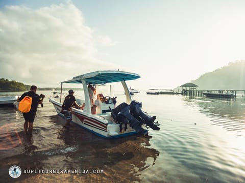 Nearby landmark, People, Natural landscape, Activities, Snorkeling, Beach, group of guests