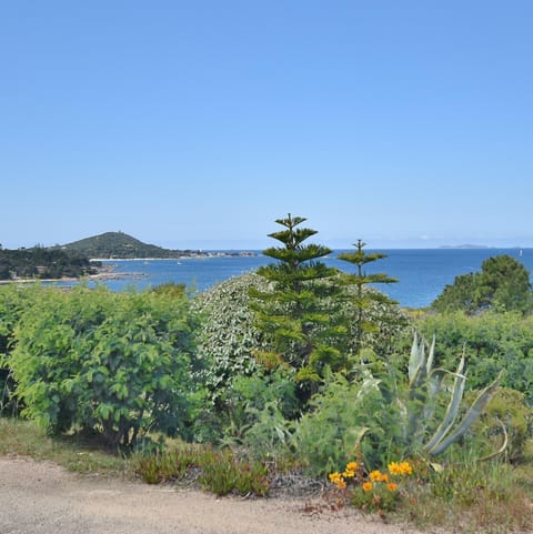 Sea view