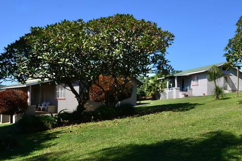 Day, Natural landscape, Garden, Garden view