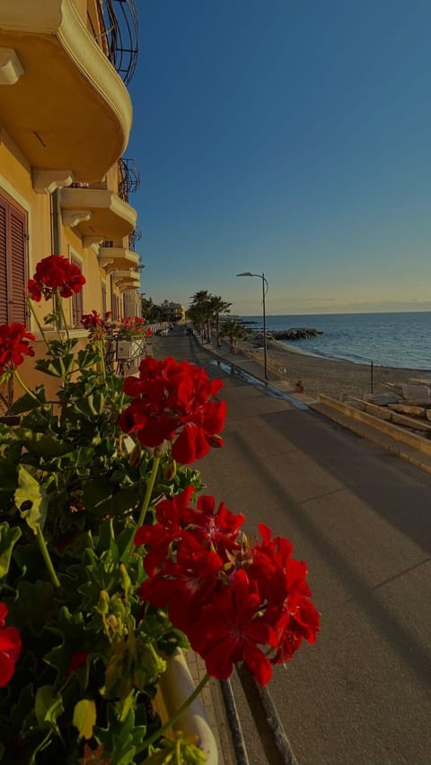 Property building, Natural landscape, Beach, Sea view