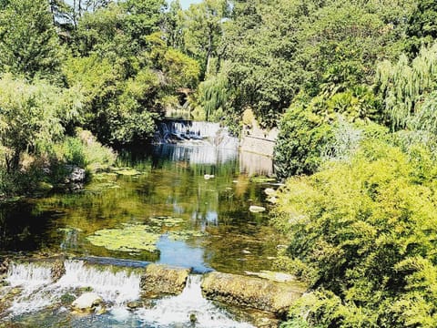 River view