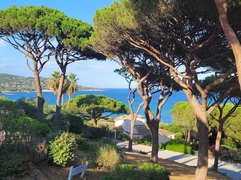 Natural landscape, Sea view
