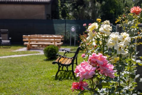 Spring, Day, Natural landscape, Garden, Garden view
