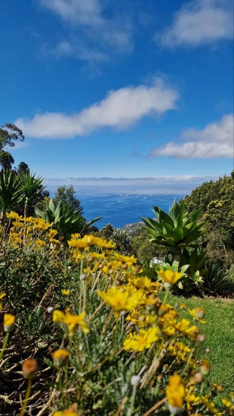 Spring, Day, Natural landscape, Sea view