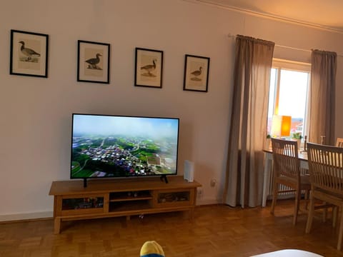 TV and multimedia, Dining area, Evening entertainment