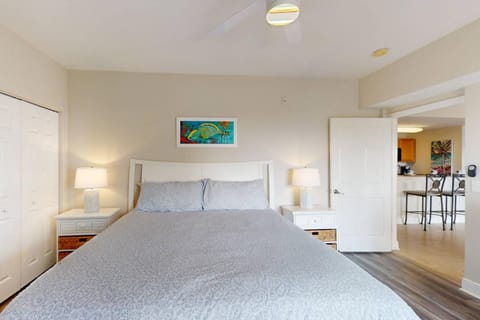 303 - Palms of Treasure Island House in Treasure Island