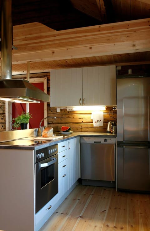 Kitchen or kitchenette, dishwasher, oven, stove, kitchen