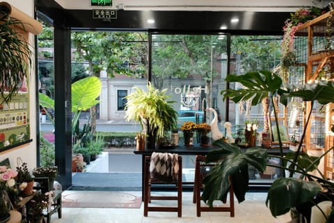 Garden, Lobby or reception