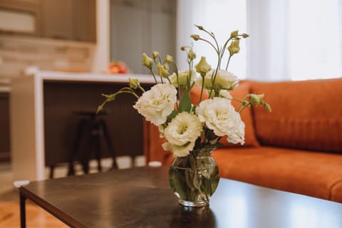 Apartman K29 Apartment in Vojvodina