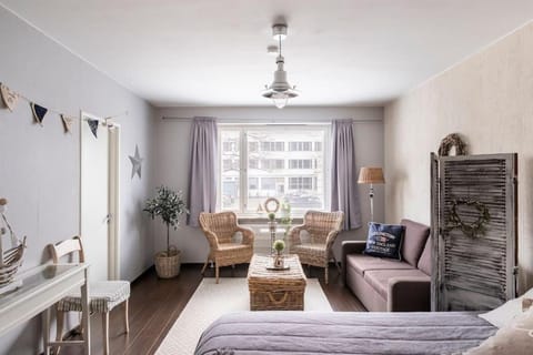 Tilava ydinkeskustakaksio ilmaisella lämmitys-tolpallisella autopaikalla Apartment in Finland