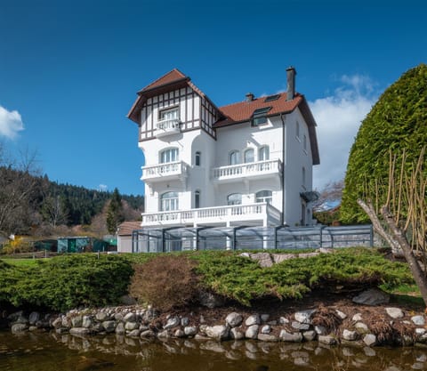 La Villa Concorde Bed and Breakfast in Gérardmer