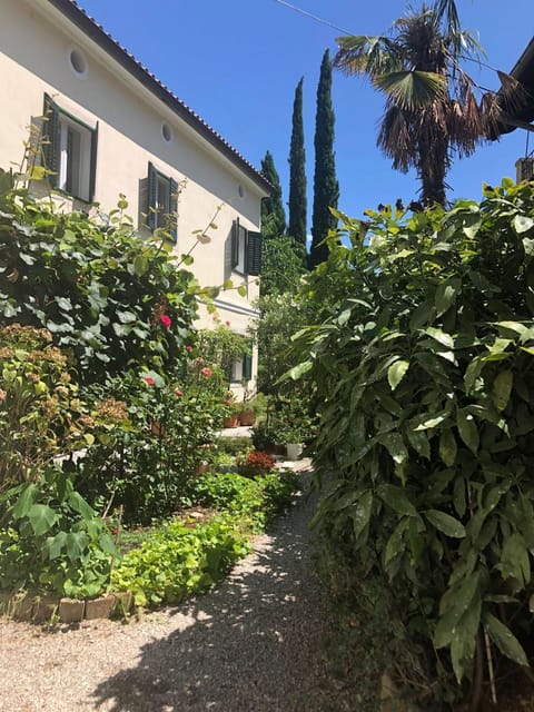 Property building, Garden, Garden, Garden view