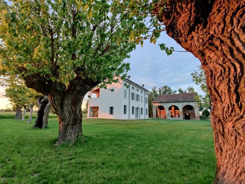 Natural landscape, Garden, Garden view