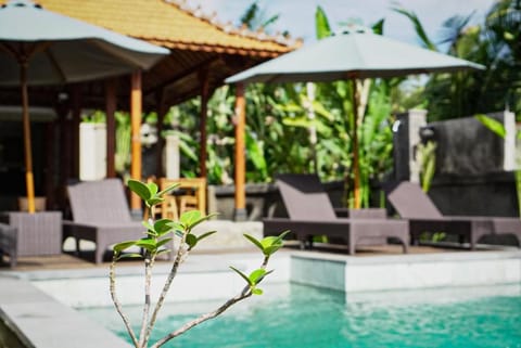 Day, Swimming pool, sunbed
