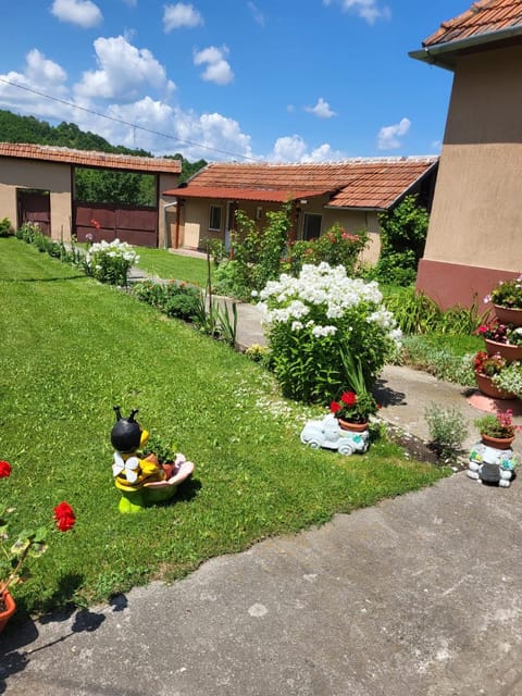 Garden, Garden view, Inner courtyard view