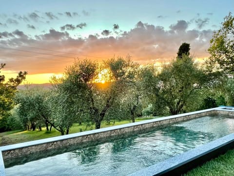 Garden, Garden view, Pool view, Swimming pool, Sunset
