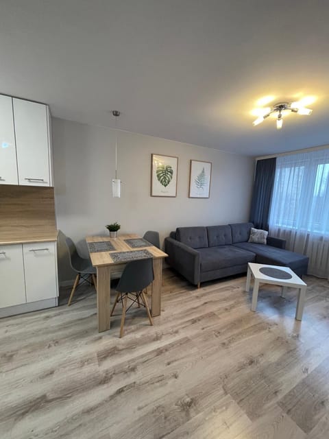 Communal lounge/ TV room, Living room, Dining area