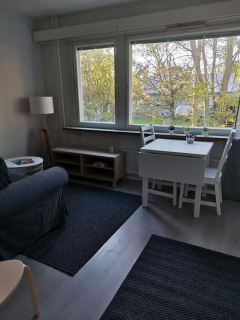 Ihana yksiö Apartment in Finland