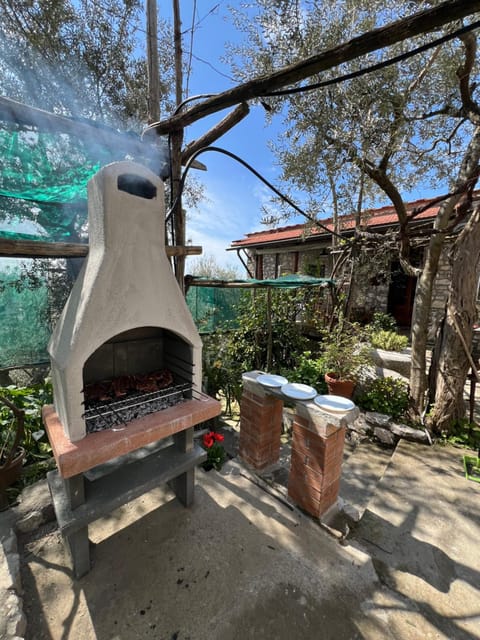 Patio, Day, BBQ facilities, Garden, Garden view