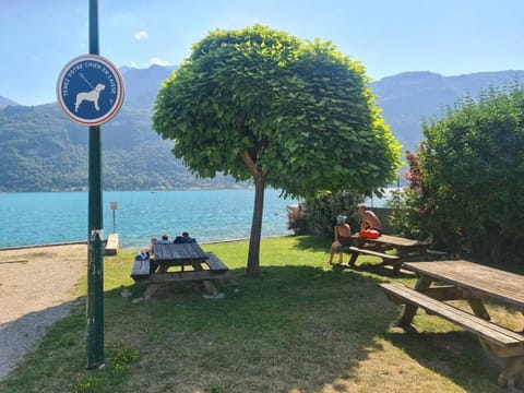 Appartement Apartment in Doussard