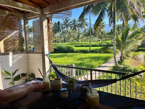 View (from property/room), Balcony/Terrace