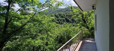 Spring, Day, Natural landscape, Mountain view