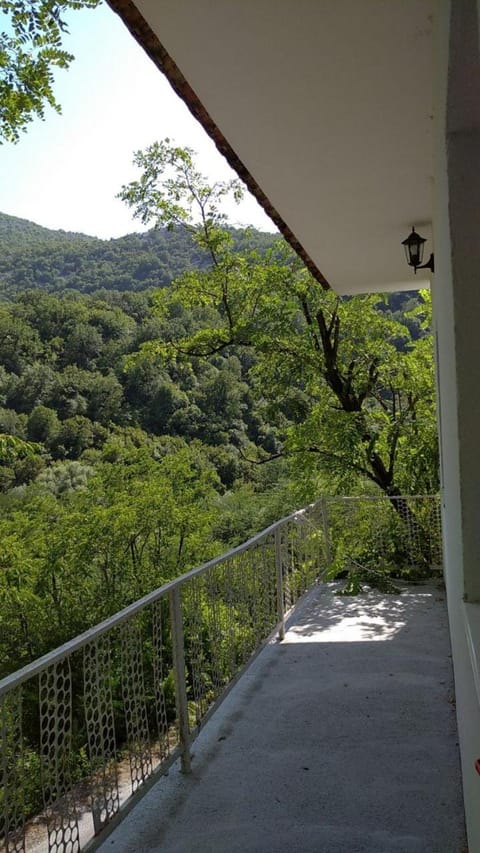 Spring, Day, Natural landscape, View (from property/room), Balcony/Terrace, Mountain view