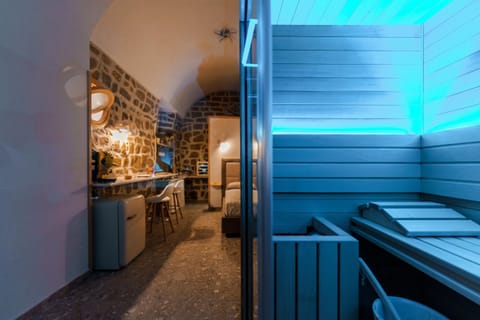 Bed, Sauna, Sauna, Kitchen or kitchenette, Spa and wellness centre/facilities, Spa and wellness centre/facilities, Photo of the whole room