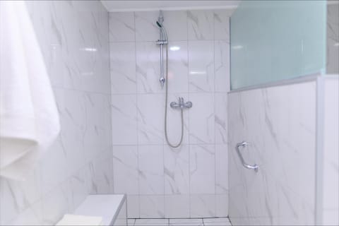 Villa Milovanovic Apartment in Serbia