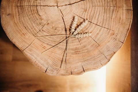 Apartments Triglav Apartment in Carinthia, Austria